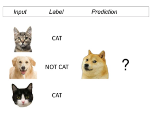 Переведи на русский dog cat. Классификация соревнование машинное обучение кошки и собаки. Example of Dog vs Cat Evolution. Ai identifies Cat as Dog.